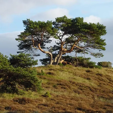 Luxury Pool In - By Traum Dom wakacyjny