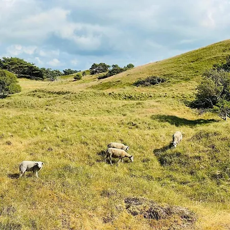 Luxury Pool In - By Traum *