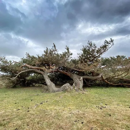 Luxury Pool In - By Traum Dom wakacyjny *