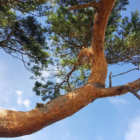 Luxury Pool In - By Traum Dom wakacyjny *