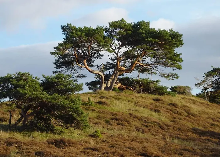 Luxury Pool In - By Traum Feriehus