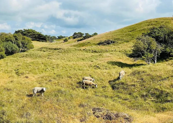 Luxury Pool In - By Traum *
