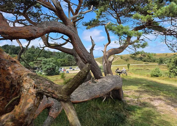 Feriehus Luxury Pool In - By Traum *