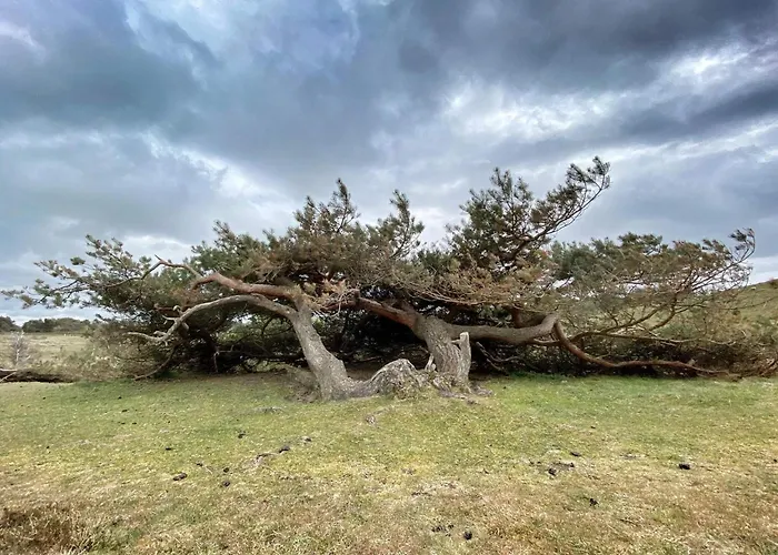 Luxury Pool In - By Traum Feriehus *