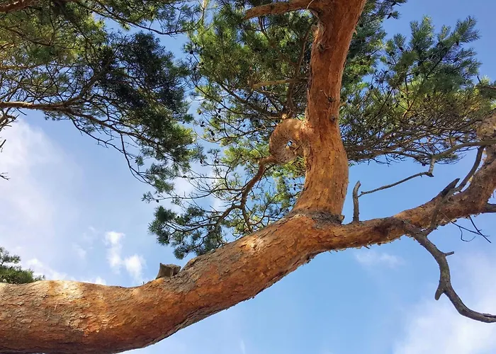 Luxury Pool In - By Traum Feriehus *