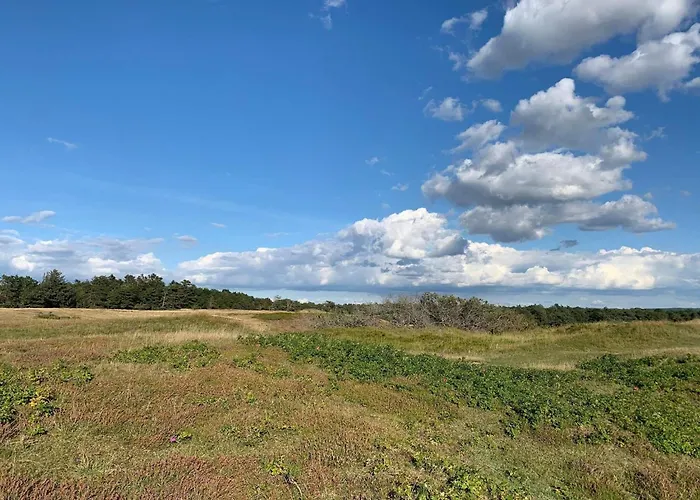 Luxury Pool In - By Traum * Vejby